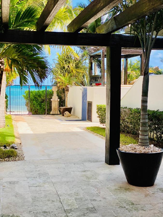 Villa Albatros Oceanfront Luxury Hotelzone 칸쿤 외부 사진