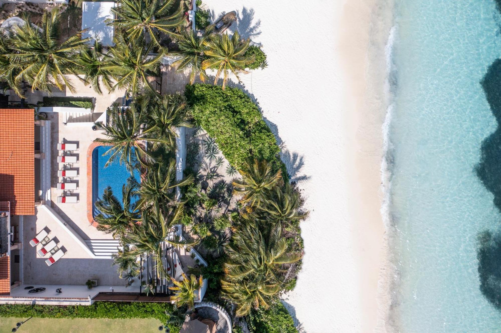 Villa Albatros Oceanfront Luxury Hotelzone 칸쿤 외부 사진