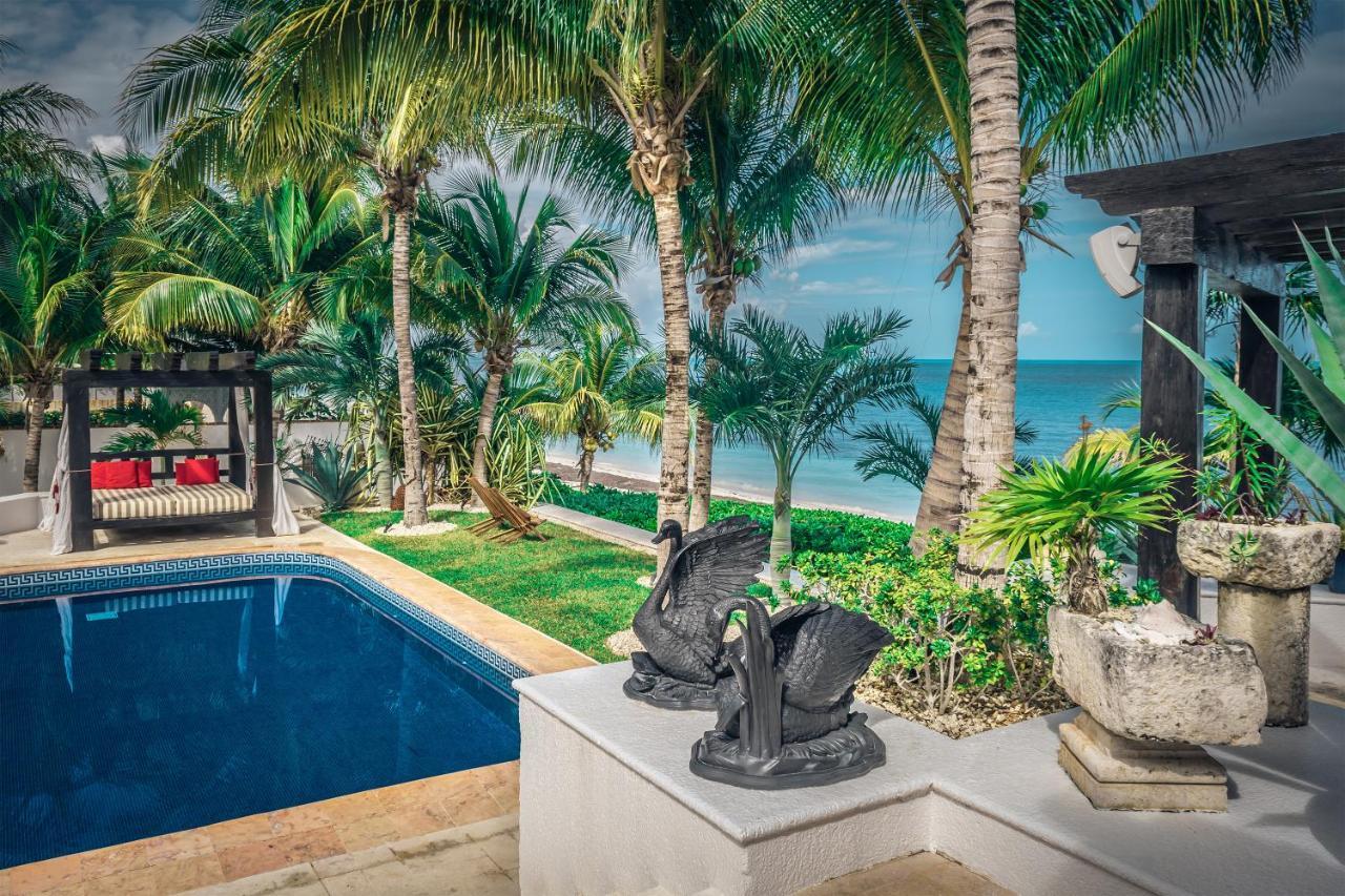 Villa Albatros Oceanfront Luxury Hotelzone 칸쿤 외부 사진